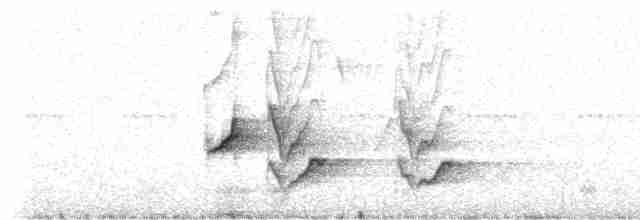 Канарский зяблик - ML309245