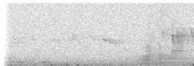 Pinson de Grande Canarie - ML309246