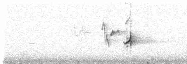 Pinson de Grande Canarie - ML309249