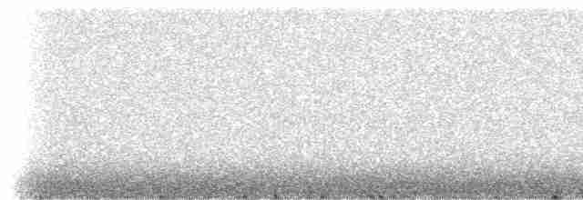 Канарский зяблик - ML309250