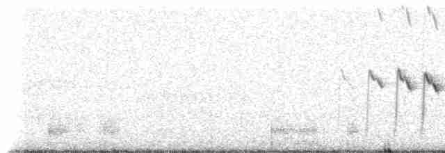 Зяблик гран-канарський - ML309258