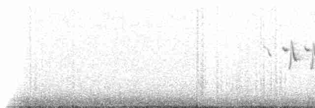 Канарский зяблик - ML309266
