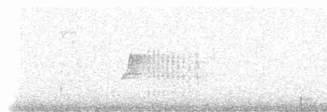 Зяблик гран-канарський - ML309267