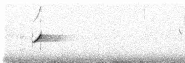 Зяблик гран-канарський - ML309271