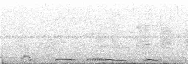 hrdlička kropenatá - ML309321351