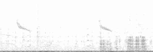 Great Cormorant - ML309340231