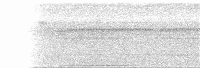 holub šedočelý - ML309350441