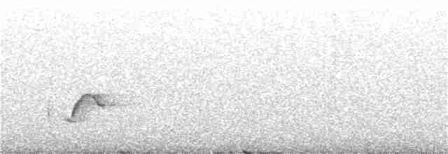Gelbbrust-Ameisenpitta - ML309392501