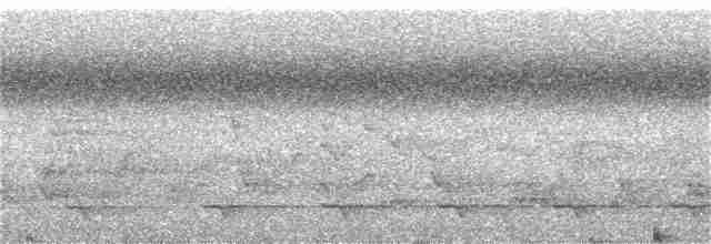 Полосатохвостый трогон - ML309404451