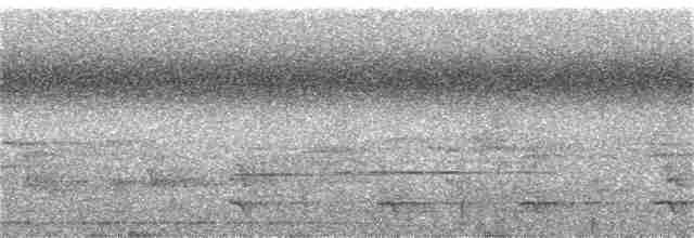 Bar-tailed Trogon - ML309404461