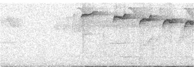 Коричневый колибри-отшельник - ML309444201