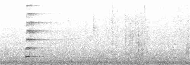 Common Gallinule - ML309484921
