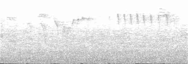 Turuncu Ardıç - ML30951611