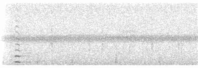 Курочка плямистобока - ML309533691