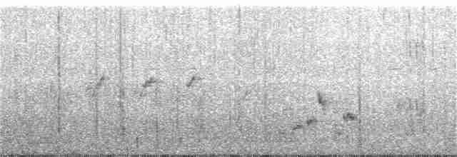 Короткокрылая камышевка - ML309536921
