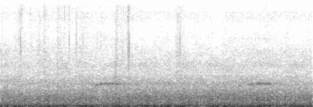 Loggerhead Shrike - ML309713491
