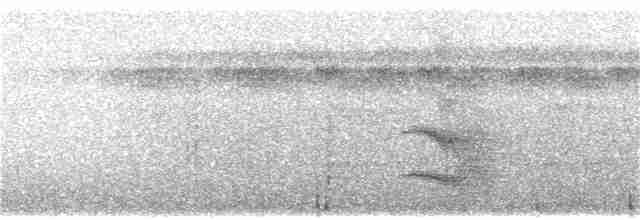 Nordamazonien-Ameisenschnäpper - ML309770771