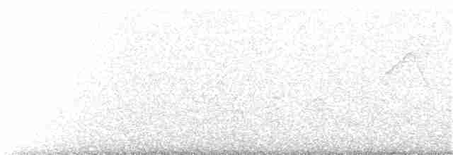 Chalk-browed Mockingbird - ML310087071