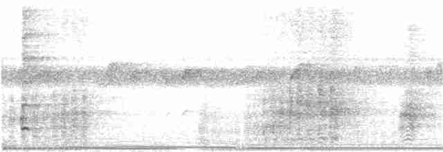 grønnvingetrompetfugl (interjecta) - ML310095591