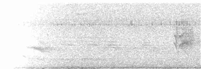 Дрізд-короткодзьоб бурий - ML31010091