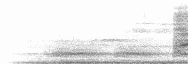 Дрізд-короткодзьоб бурий - ML31010121