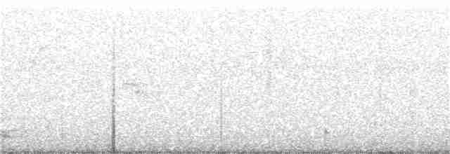 Птах-носоріг сулуйський - ML310141681