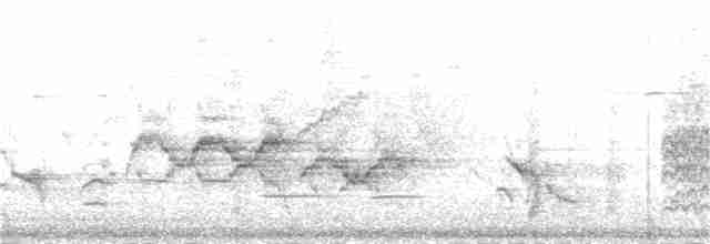 Дрізд-короткодзьоб бурий - ML31020841