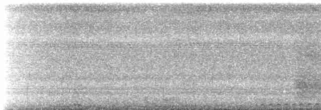  - Cinnamon Ground Dove