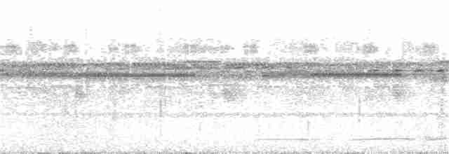 Красноногий скрытохвост - ML310292501
