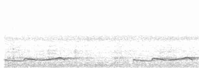 Silky-tailed Nightjar - ML310297211