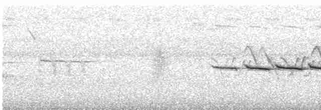Field Sparrow - ML31032511