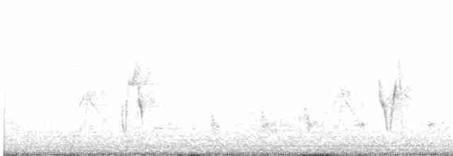 Принія смугастокрила - ML31036151