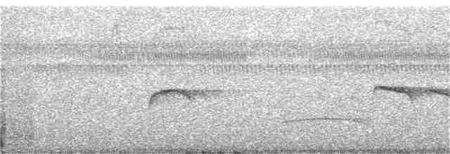 Тиран-карлик жовточеревий - ML310452561