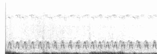 Slender-tailed Nightjar - ML310464961