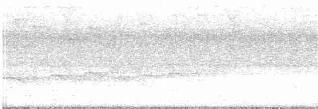 Tüpfelkronen-Ameisenvogel - ML310616181