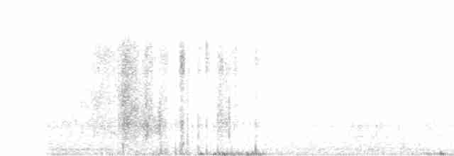 Pluvier oréophile - ML310727601