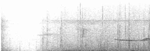 Lacivert Kuyruklu Trogon - ML310830681