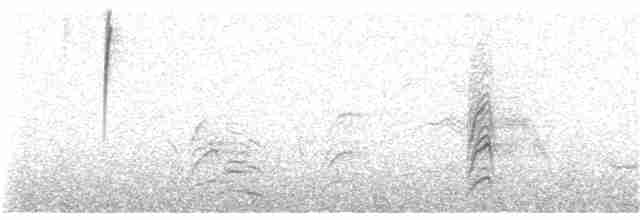 Gray-hooded Sierra Finch (minor) - ML311074091