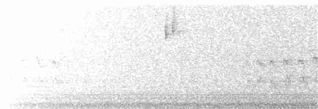 Turuncu Ardıç - ML311100921