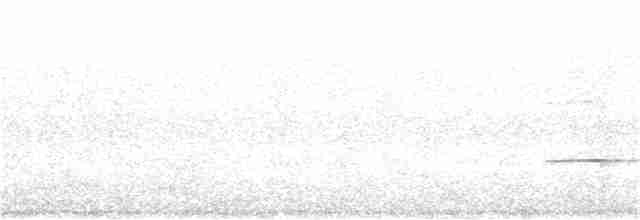 Güneyli Kestanerengi Karıncakuşu - ML311113561