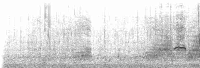 Basahatea x Ahate iluna (hibridoa) - ML311219751