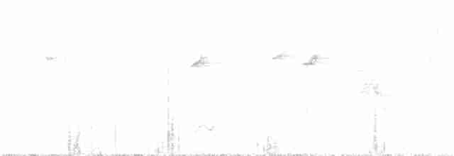 Синегорлый солнечник - ML311273491