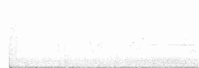 Common Yellowthroat - ML311393011