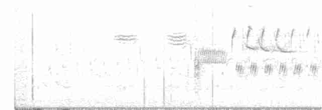 Troglodyte des marais - ML311397451