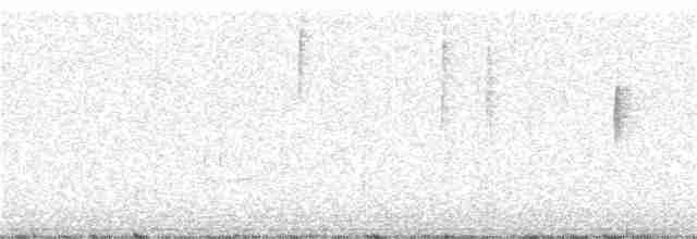 Black-crested Warbler - ML311403391