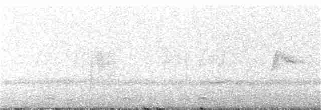 Анаперо-довгокрил рудочеревий - ML311414241