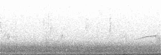 White-tailed Kite - ML311599851