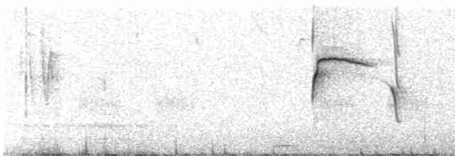 Мышиный чертополошник - ML311683671