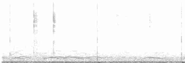 Tundra Swan (Whistling) - ML311734271