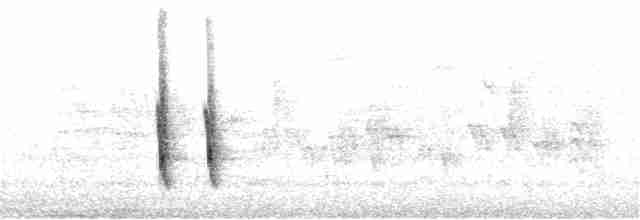 Hermit Thrush (guttatus Group) - ML312012091